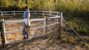 Fence Builder Near South Windsor CT | Local And Trusted Services